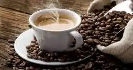 Die Kultivierung des Kaffees