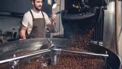 Kaffeeproduktion